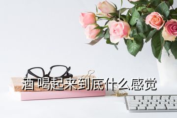 酒 喝起來到底什么感覺