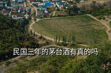 民國(guó)三年的茅臺(tái)酒有真的嗎