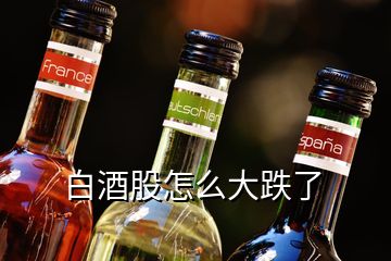 白酒股怎么大跌了