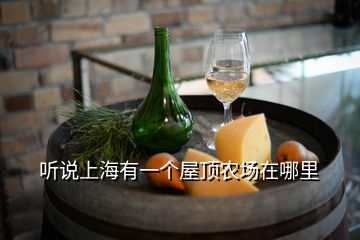 聽說上海有一個(gè)屋頂農(nóng)場(chǎng)在哪里