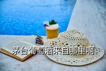 茅臺葡萄酒來自哪里啊