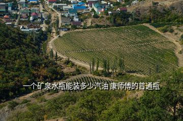 一個(gè)礦泉水瓶能裝多少汽油 康師傅的普通瓶