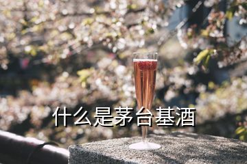 什么是茅臺基酒