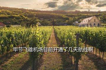 畢節(jié)飛雄機(jī)場目前開通了幾天航線啊