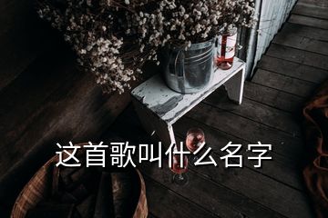 這首歌叫什么名字