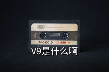 V9是什么啊