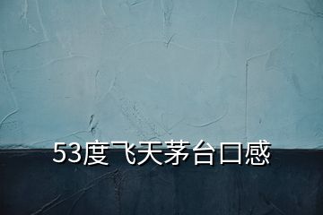 53度飛天茅臺口感