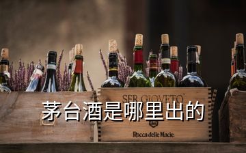 茅臺(tái)酒是哪里出的