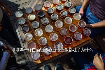 剛剛喝一杯白酒很惡心直接連飯都吐了為什么