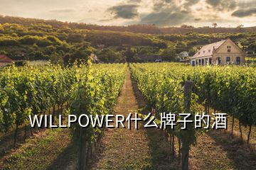 WILLPOWER什么牌子的酒