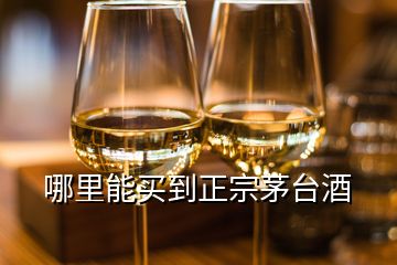 哪里能買到正宗茅臺酒