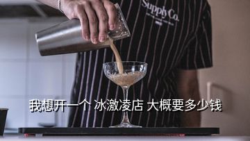 我想開一個(gè) 冰激凌店 大概要多少錢