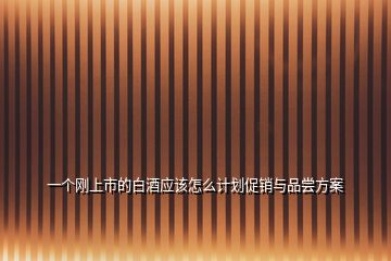 一個(gè)剛上市的白酒應(yīng)該怎么計(jì)劃促銷與品嘗方案