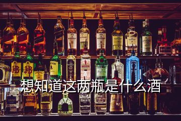 想知道這兩瓶是什么酒