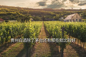 貴州白酒除了茅臺(tái)還有那些就比較好