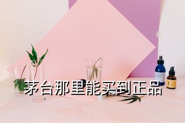 茅臺(tái)那里能買(mǎi)到正品