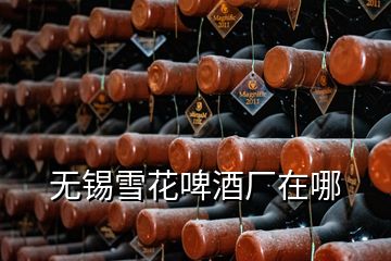 無錫雪花啤酒廠在哪