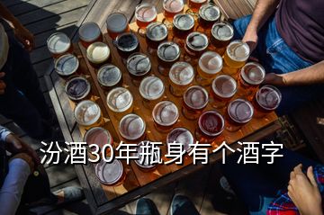 汾酒30年瓶身有個酒字