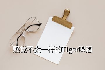 感覺不太一樣的Tiger啤酒