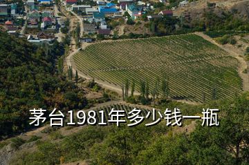 茅臺1981年多少錢一瓶