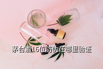 茅臺(tái)酒16位防偽在哪里驗(yàn)證