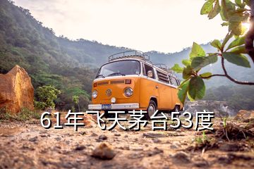 61年飛天茅臺53度