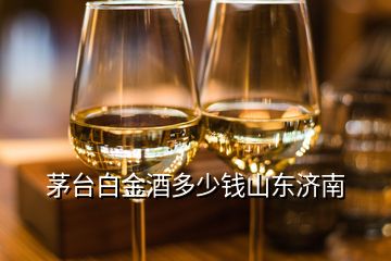 茅臺白金酒多少錢山東濟(jì)南