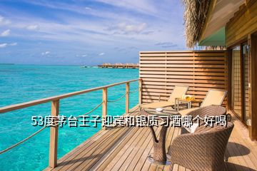 53度茅臺(tái)王子迎賓和銀質(zhì)習(xí)酒哪個(gè)好喝