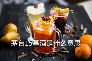 茅臺15基酒是什么意思