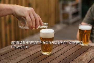 請(qǐng)問鹽城有沒有啤酒廠啊好想有天目湖啤酒廠如果有啤酒廠的話那位大