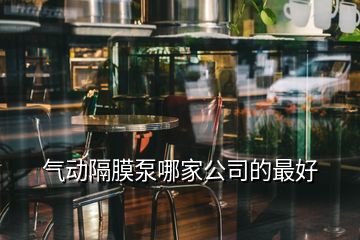 氣動隔膜泵哪家公司的最好