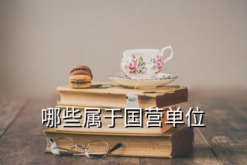 哪些屬于國營單位