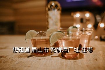 想知道 眉山市 沱牌酒廠址 在哪