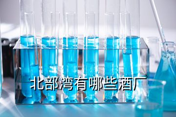 北部灣有哪些酒廠