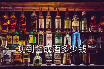 功到醬成酒多少錢(qián)