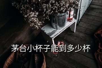 茅臺(tái)小杯子能到多少杯