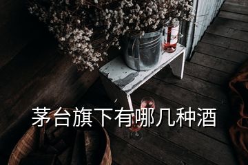 茅臺旗下有哪幾種酒