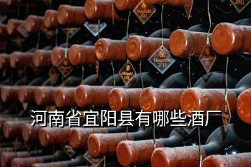 河南省宜陽縣有哪些酒廠