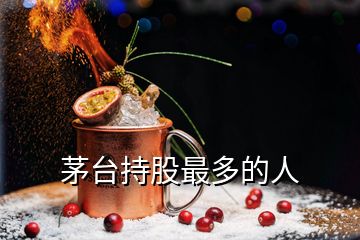 茅臺(tái)持股最多的人