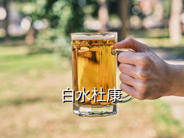 白水杜康