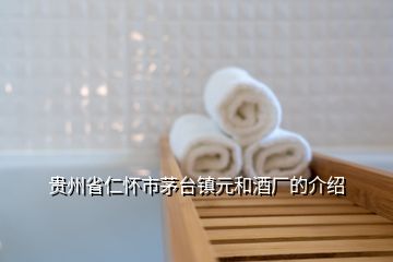 貴州省仁懷市茅臺鎮(zhèn)元和酒廠的介紹