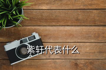 紫軒代表什么