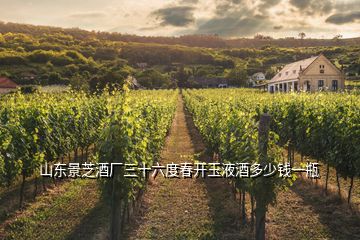 山東景芝酒廠三十六度春開玉液酒多少錢一瓶