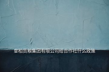 皇柏貢糧集團(tuán)有限公司給合作社什么政策