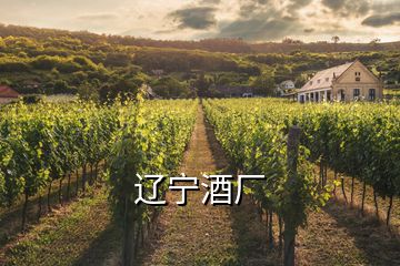 遼寧酒廠