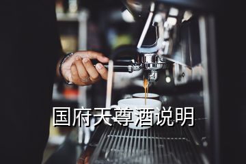 國(guó)府天尊酒說明