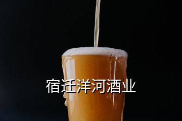 宿遷洋河酒業(yè)