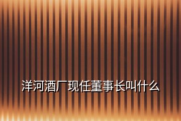 洋河酒廠現(xiàn)任董事長叫什么