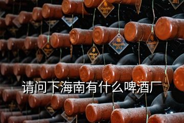 請(qǐng)問下海南有什么啤酒廠