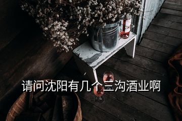 請問沈陽有幾個三溝酒業(yè)啊